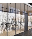 Film adhésif décoratif pour vitrage Motif forêt printannière Coala Windows Decor